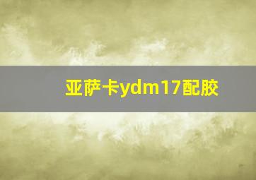 亚萨卡ydm17配胶