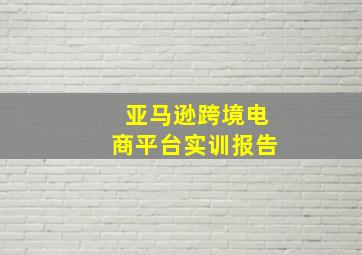 亚马逊跨境电商平台实训报告