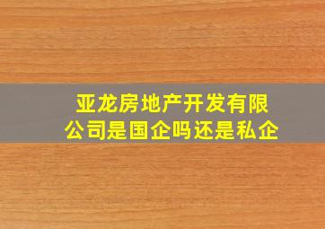 亚龙房地产开发有限公司是国企吗还是私企