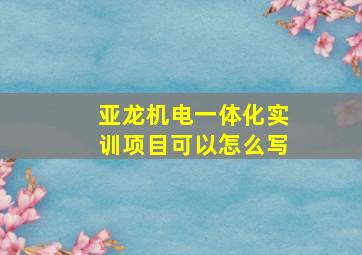 亚龙机电一体化实训项目可以怎么写