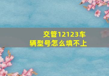 交管12123车辆型号怎么填不上