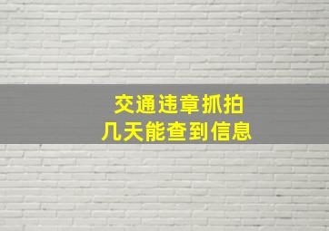 交通违章抓拍几天能查到信息