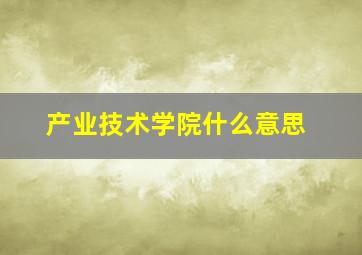 产业技术学院什么意思