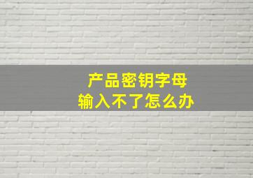 产品密钥字母输入不了怎么办