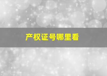 产权证号哪里看