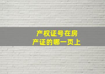 产权证号在房产证的哪一页上