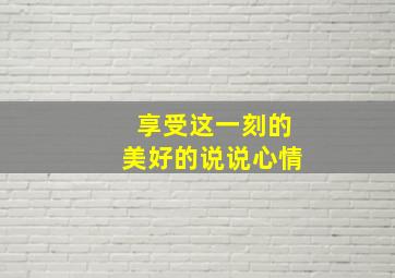 享受这一刻的美好的说说心情