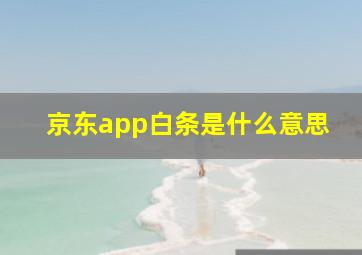 京东app白条是什么意思