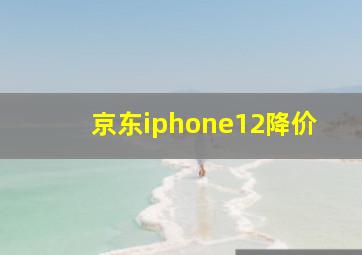 京东iphone12降价