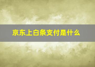 京东上白条支付是什么