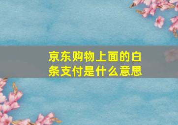 京东购物上面的白条支付是什么意思