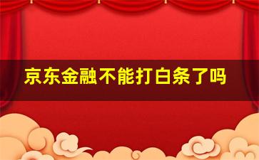 京东金融不能打白条了吗