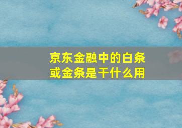 京东金融中的白条或金条是干什么用