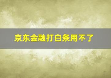 京东金融打白条用不了