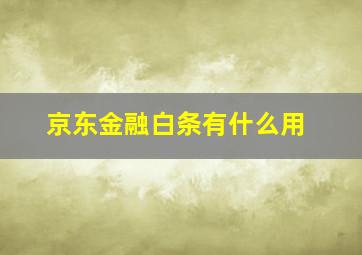 京东金融白条有什么用