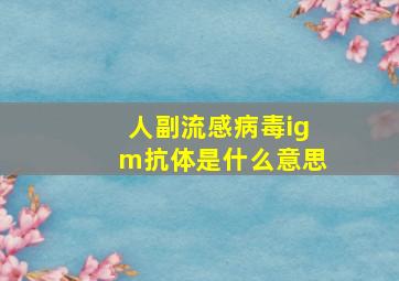 人副流感病毒igm抗体是什么意思