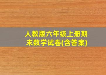 人教版六年级上册期末数学试卷(含答案)