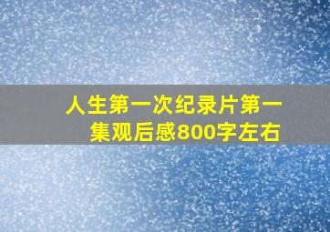 人生第一次纪录片第一集观后感800字左右