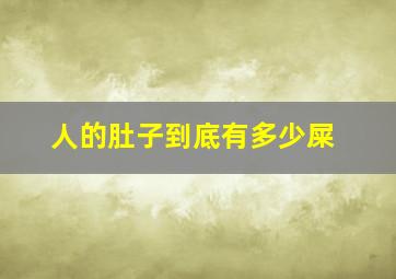 人的肚子到底有多少屎