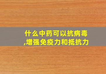 什么中药可以抗病毒,增强免疫力和抵抗力