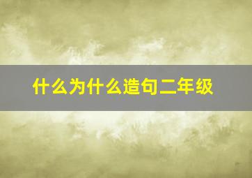 什么为什么造句二年级