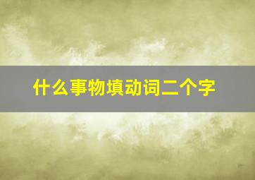 什么事物填动词二个字