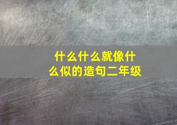 什么什么就像什么似的造句二年级