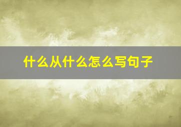 什么从什么怎么写句子