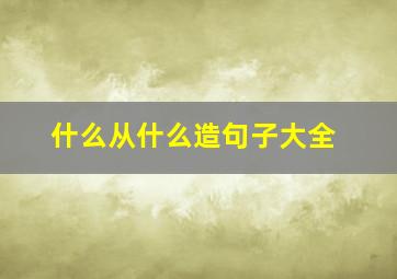 什么从什么造句子大全