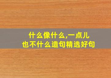 什么像什么,一点儿也不什么造句精选好句