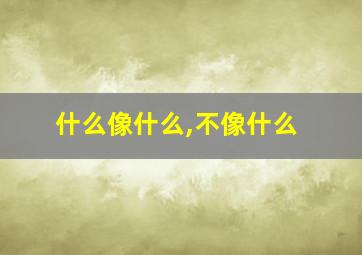 什么像什么,不像什么