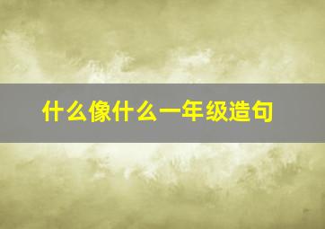 什么像什么一年级造句