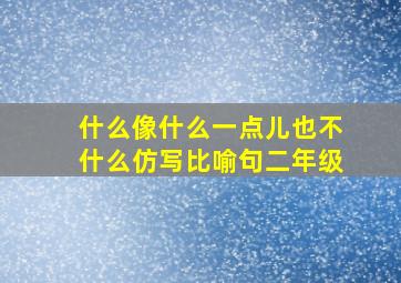 什么像什么一点儿也不什么仿写比喻句二年级