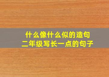 什么像什么似的造句二年级写长一点的句子