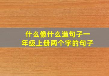 什么像什么造句子一年级上册两个字的句子