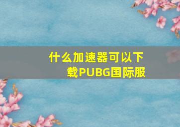 什么加速器可以下载PUBG国际服