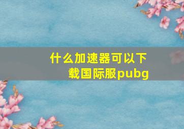 什么加速器可以下载国际服pubg