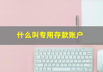 什么叫专用存款账户