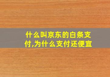 什么叫京东的白条支付,为什么支付还便宜