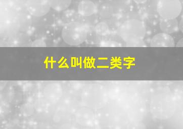 什么叫做二类字