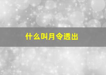 什么叫月令透出