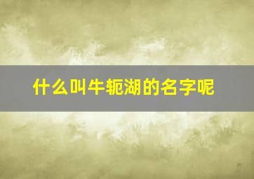 什么叫牛轭湖的名字呢