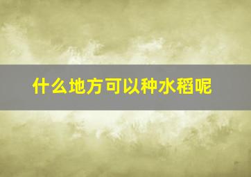 什么地方可以种水稻呢