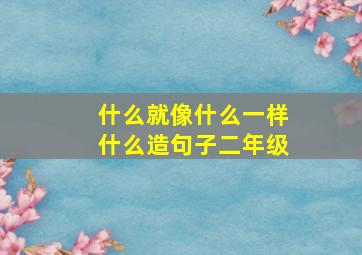 什么就像什么一样什么造句子二年级