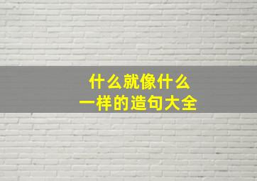 什么就像什么一样的造句大全