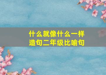 什么就像什么一样造句二年级比喻句