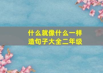 什么就像什么一样造句子大全二年级