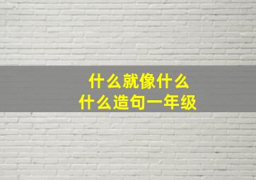 什么就像什么什么造句一年级