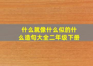 什么就像什么似的什么造句大全二年级下册