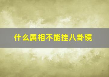 什么属相不能挂八卦镜